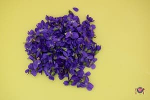 La foto raffigurante le violette raccolte per la preparazione del sale alle violette